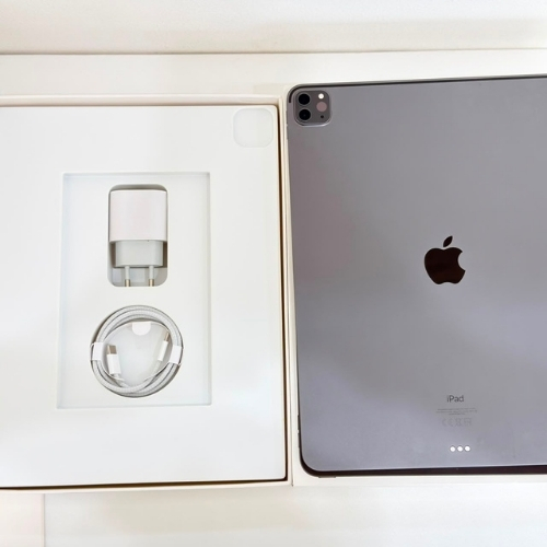 iPad Gen5 Black 256GB Ex Inter 12.9 inch